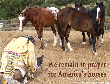 WFLF - In prayer for America's horses